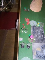 040.JPG