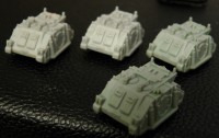 Rhinos front.JPG