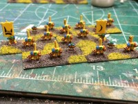nobz 4.JPG