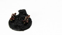 Miniatures - Stygians, Dark Eldar 02.JPG