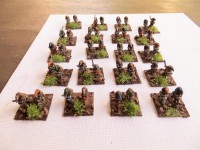 Quar roughriders2.jpg