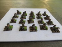 Quar roughriders1.jpg