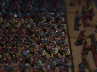 _2267240.JPG