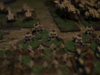 _3037284.JPG