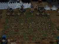 _3097288.JPG