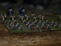 _3097291.JPG