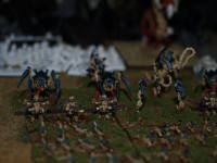 _3097293.JPG