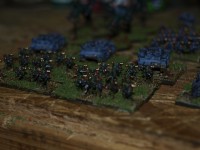 _3157297.JPG