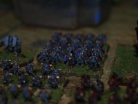 _3157298.JPG