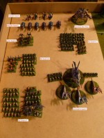 nids army.JPG