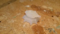 20150517_150111.jpg