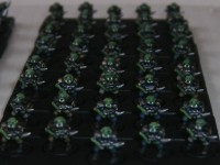 DSCF8521.JPG