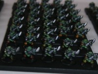 DSCF8515.JPG