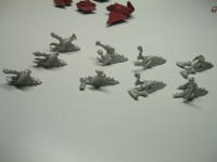Exocrines_Dactylis.jpg