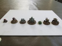 comparison3.jpg