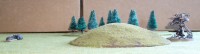 P1120983 (1024x275).jpg