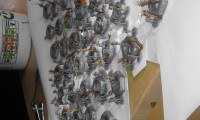 20160518_081754.jpg