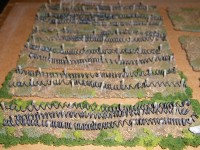 Terrain 004.jpg