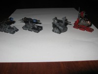grey ordinatus1.jpg