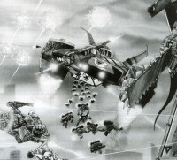 StormBird_001.jpg