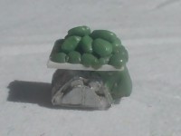 mastiff - 1.jpg