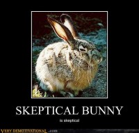 Demotivational - Skeptical Bunny.jpg