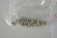 CIMG0771.JPG