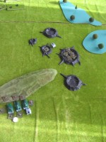 2012-10-27 11.55.54.jpg