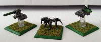 IMG_2245.JPG