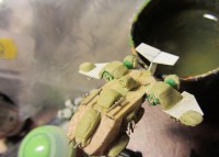 IMG_0111 v2.JPG