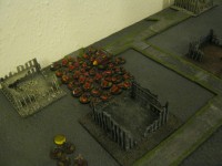 IMG_0466.JPG