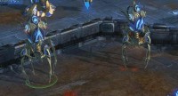 Collosus.JPG