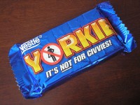 Yorkie.jpg