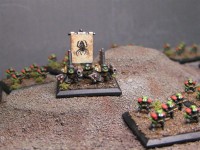 Nobz2.JPG