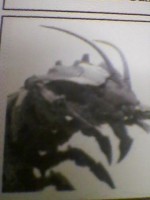 Necron preview 1.JPG