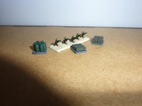 P1030774t.jpg